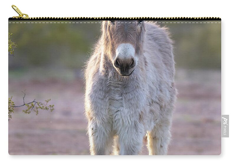 Wild Burro Zip Pouch featuring the photograph Evening Friend by Mary Hone