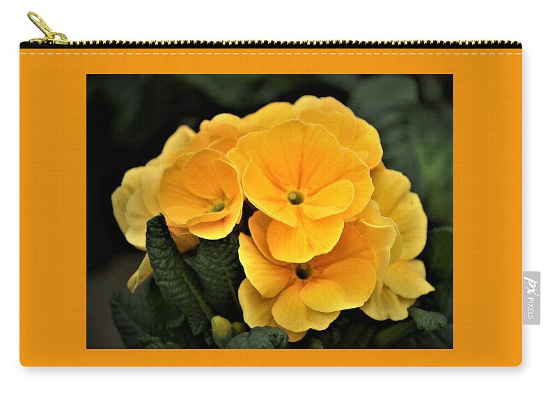 Evening Primrose Carry-all Pouch featuring the photograph Evening Primrose, Gold by Nancy Ayanna Wyatt