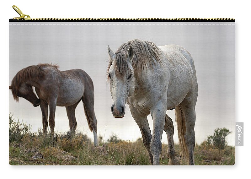 Wild Horses Zip Pouch featuring the photograph Evening with friends by Mary Hone