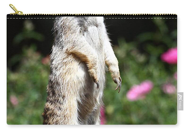 Meerkat Zip Pouch featuring the photograph Ever Watchful Meerkat by Tony Lee