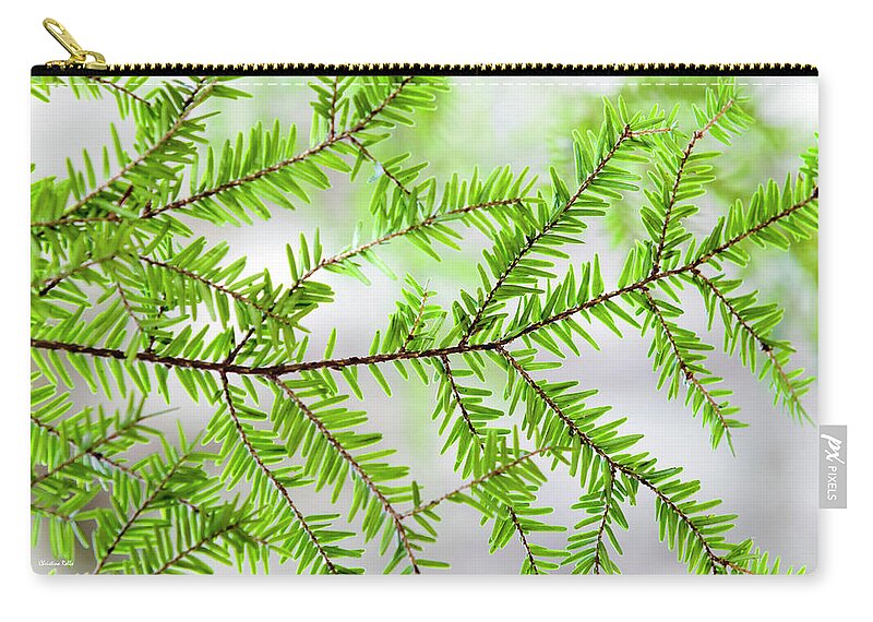 Tree Zip Pouch featuring the photograph Evergreen Abstract by Christina Rollo