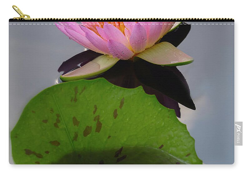 Summer Zip Pouch featuring the photograph Existing together. by Usha Peddamatham