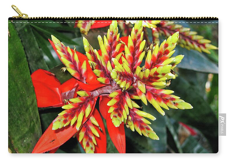 Flora Zip Pouch featuring the photograph Exotic flower by Segura Shaw Photography