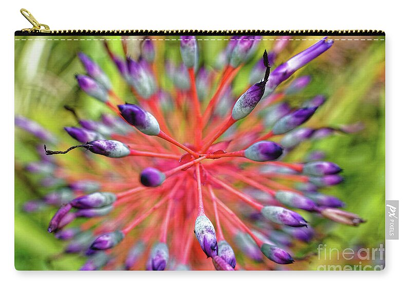 Bromeliad Zip Pouch featuring the photograph Explosion of Buds by Jo Ann Gregg