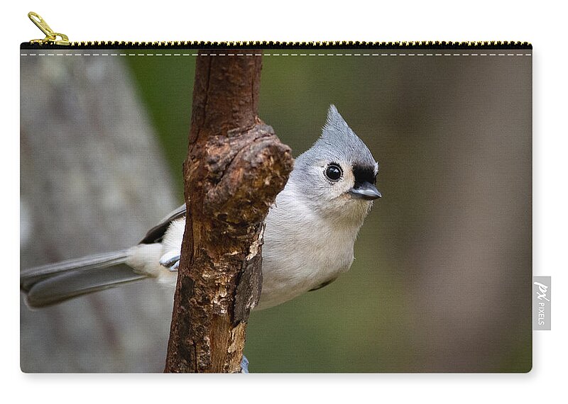 Bird Carry-all Pouch featuring the photograph Eye Contact by Linda Bonaccorsi