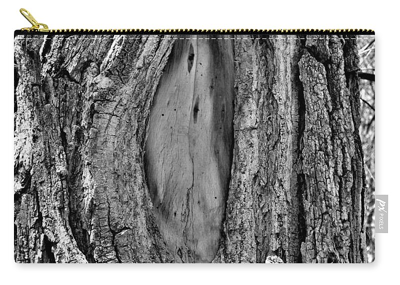 Scar Zip Pouch featuring the photograph Face of a Tree by Amanda R Wright