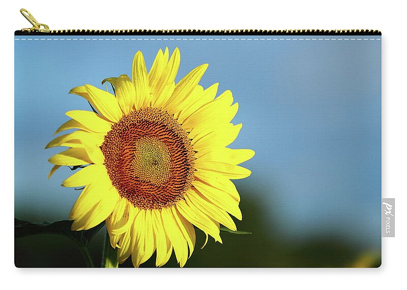 Summer Zip Pouch featuring the photograph Face The Day by Lens Art Photography By Larry Trager
