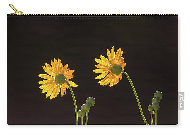 Facing The Light Zip Pouch featuring the photograph Facing The Light by Dan Sproul