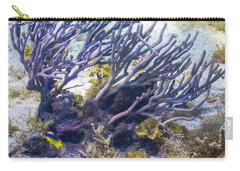 Fish Carry-all Pouch featuring the photograph Fairytail Land by Lynne Browne