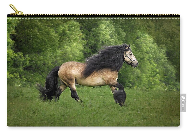 Horses Artwork Zip Pouch featuring the photograph Falcon by Fran J Scott