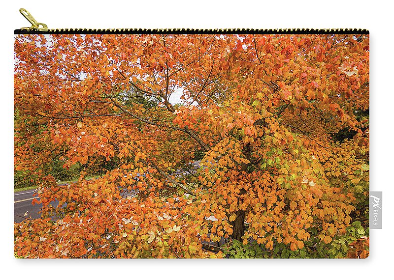 New Jersey Zip Pouch featuring the photograph Fall Colored Leaves by Louis Dallara