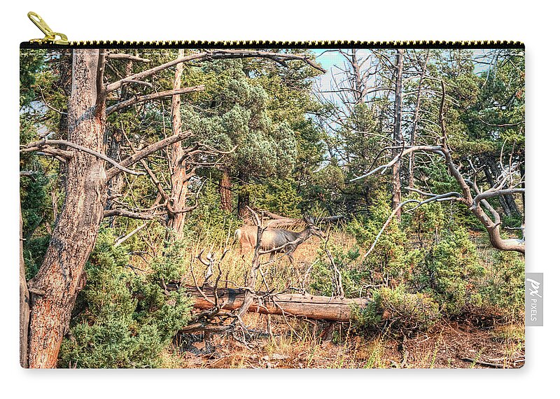 Photo Zip Pouch featuring the photograph Fall in the Forest Deer by Greg Sigrist