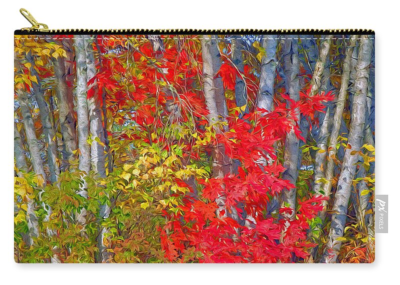  Zip Pouch featuring the photograph Fall Palette by Carol Randall