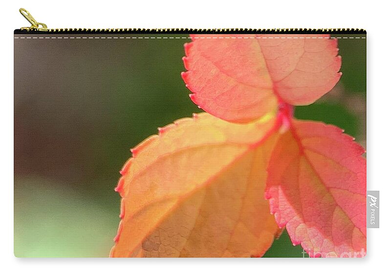 Leaves Zip Pouch featuring the photograph Fall So Bright by Catherine Wilson