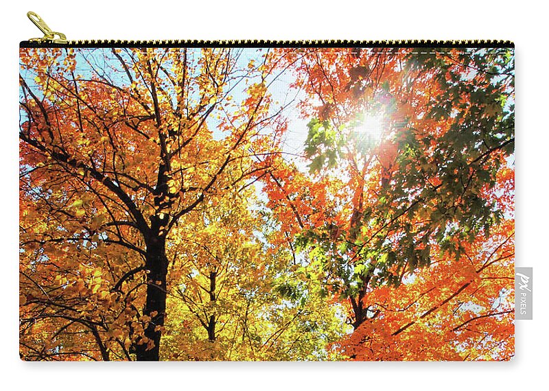 Fall Zip Pouch featuring the photograph Fall Walkway by Scott Olsen