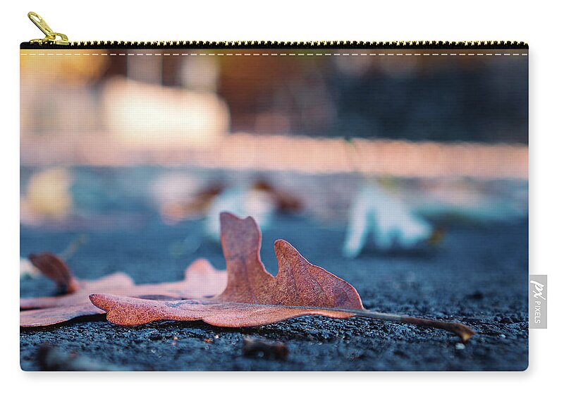 Autumn Zip Pouch featuring the photograph Fallen Leaf on Macadam by Jason Fink