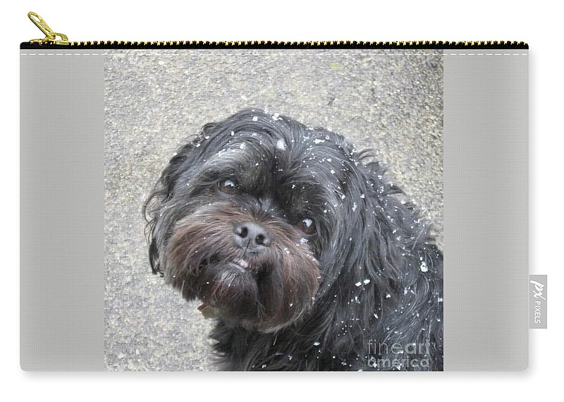 Newby Zip Pouch featuring the photograph Famous Baxter by Cindy's Creative Corner