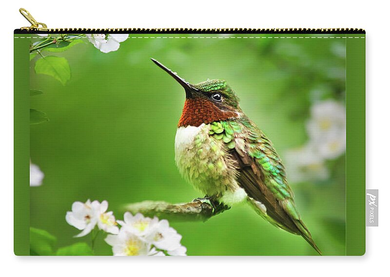 Hummingbird Carry-all Pouch featuring the photograph Fauna and Flora - Hummingbird with Flowers by Christina Rollo