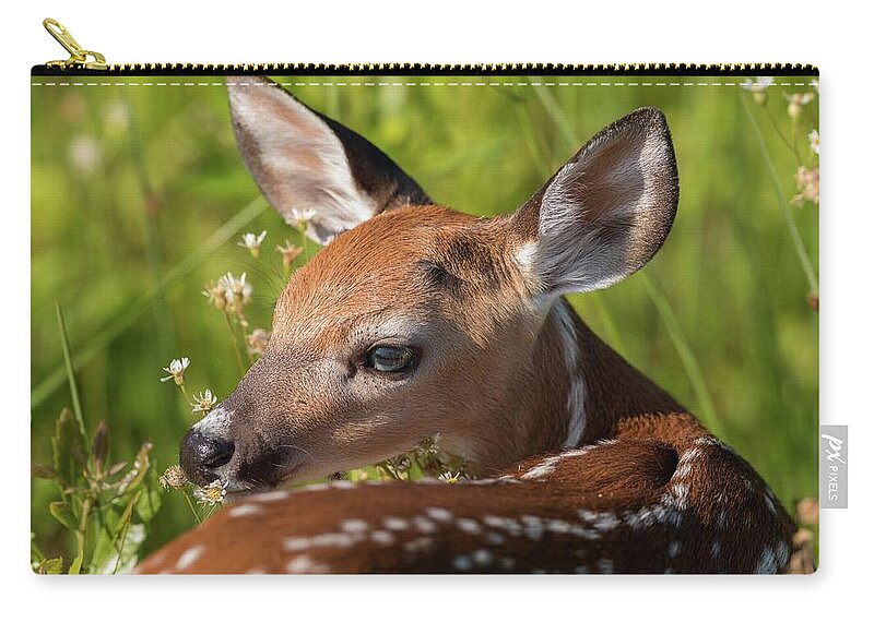 Flowering Zip Pouch featuring the photograph Fawn over the Shoulder by Liza Eckardt