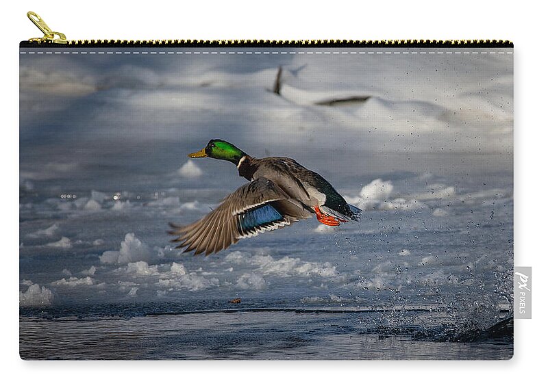 Bird Carry-all Pouch featuring the photograph Feathers on Display by Linda Bonaccorsi