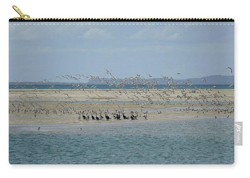 Birds Zip Pouch featuring the photograph Feeding Time On Rainbow Beach by Maryse Jansen