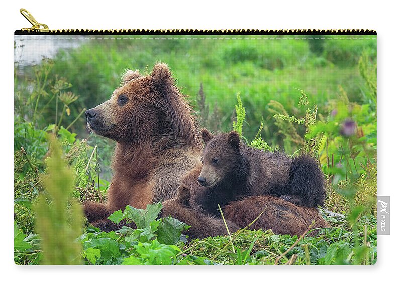 Bear Zip Pouch featuring the photograph Female Brown Bear And Her Cubs by Mikhail Kokhanchikov