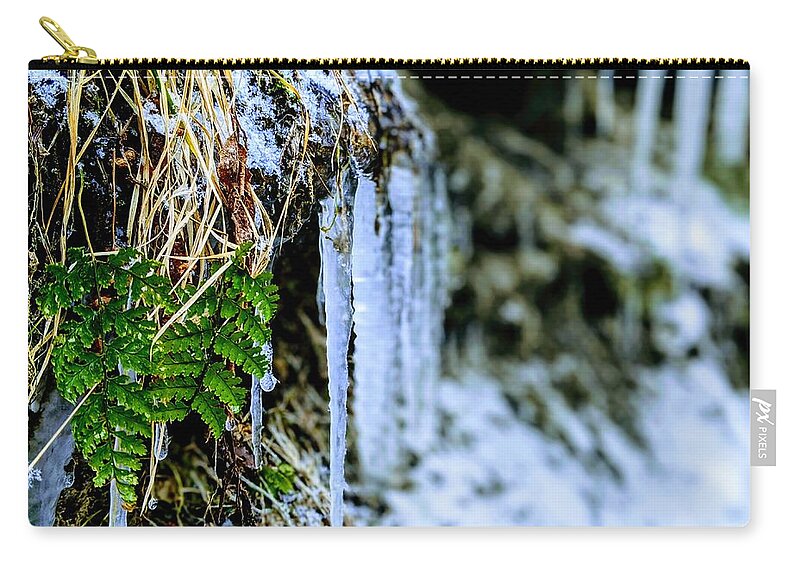  Carry-all Pouch featuring the photograph Fern and Icicles by Brad Nellis