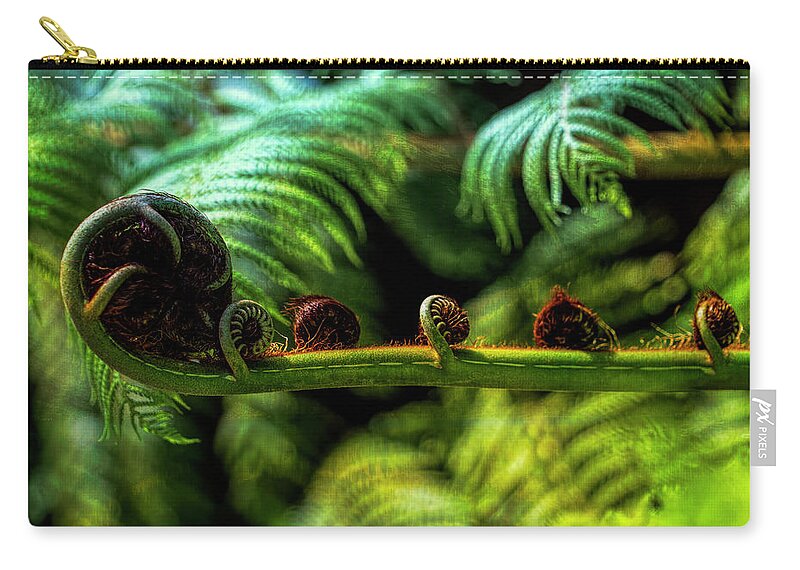 Fern Zip Pouch featuring the photograph Fern Fronds Two by Michael Hope