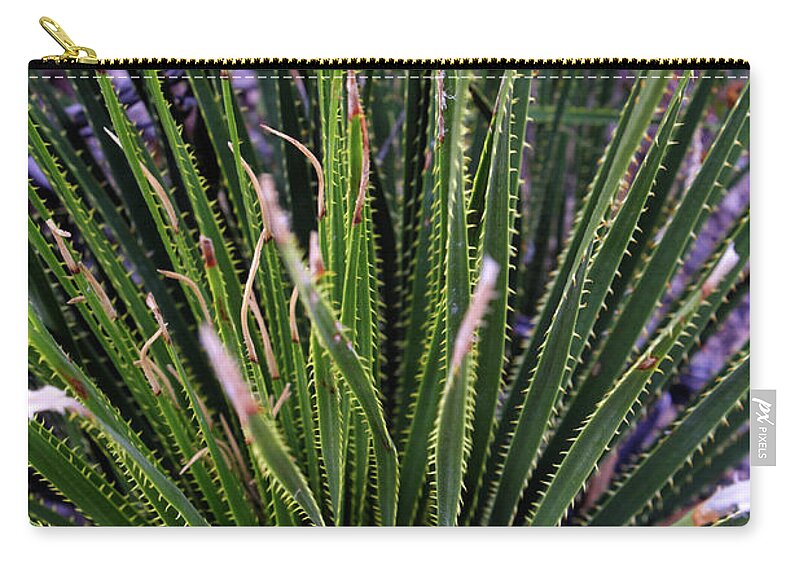 Plant Zip Pouch featuring the photograph Fern in McKittrick Canyon by George Taylor