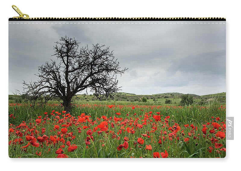 Poppy Anemone Carry-all Pouch featuring the photograph Field full of red beautiful poppy anemone flowers and a lonely dry tree. Spring time, spring landscape Cyprus. by Michalakis Ppalis