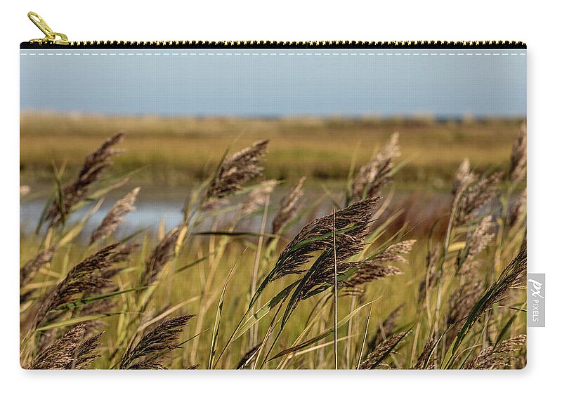 Gold Zip Pouch featuring the photograph Field of gold by Mike Santis