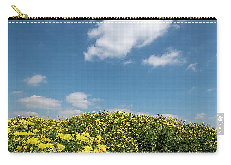Flower Field Carry-all Pouch featuring the photograph Field with yellow marguerite daisy blooming flowers against and blue cloudy sky. Spring landscape nature background by Michalakis Ppalis