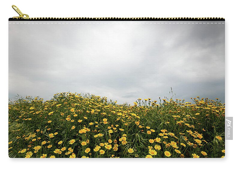 Spring Zip Pouch featuring the photograph Field with yellow marguerite daisy blooming flowers against cloudy sky. Spring landscape nature background by Michalakis Ppalis