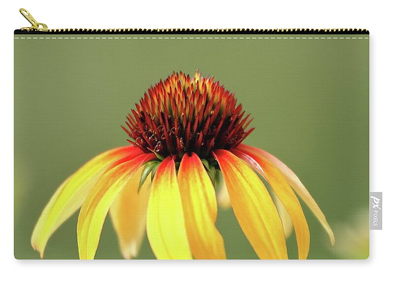 Coneflower Zip Pouch featuring the photograph Fiesta Coneflower by Lens Art Photography By Larry Trager