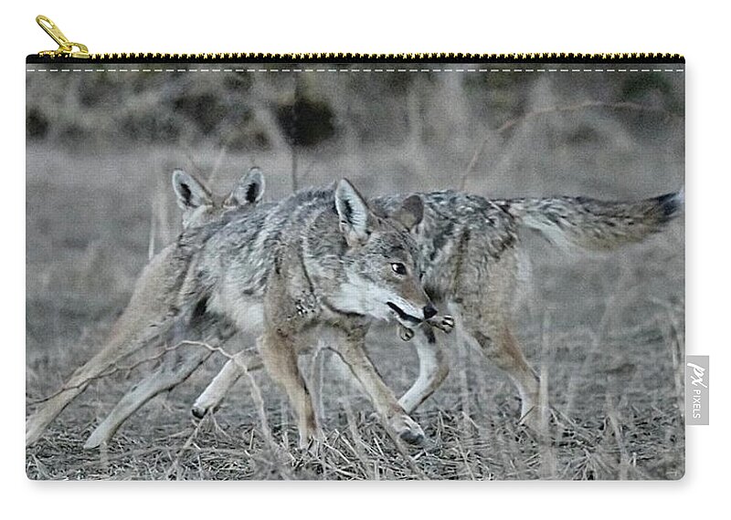 Coyote Zip Pouch featuring the digital art Fight Over Dinner by Tammy Keyes