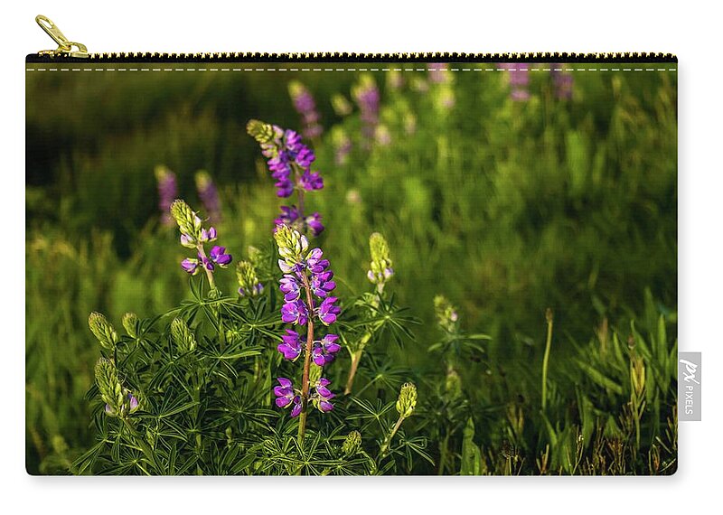 Lupine Zip Pouch featuring the photograph Final Light on Lupine by Doug Scrima