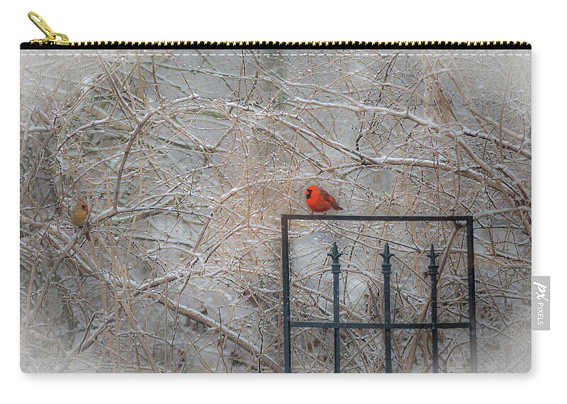 Cardinal Zip Pouch featuring the photograph Finally by Diane Lindon Coy