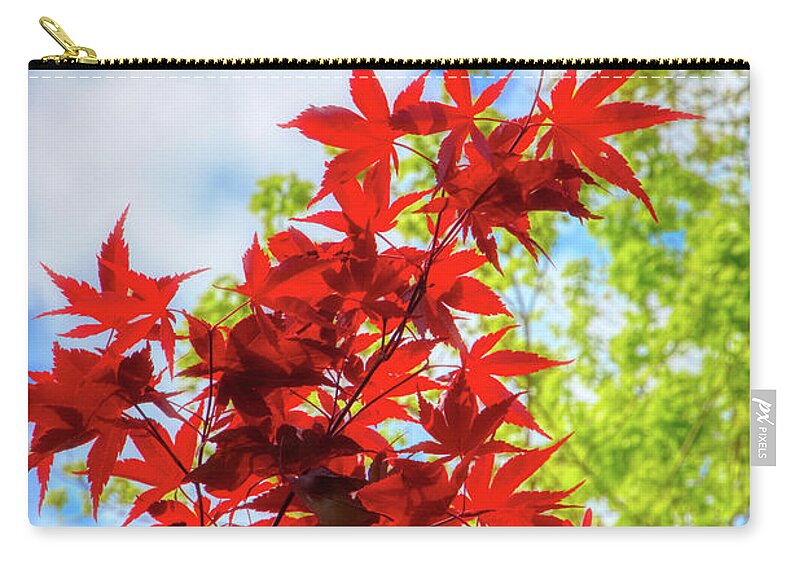 Leaf Zip Pouch featuring the photograph Fire Red Maple by Loyd Towe Photography