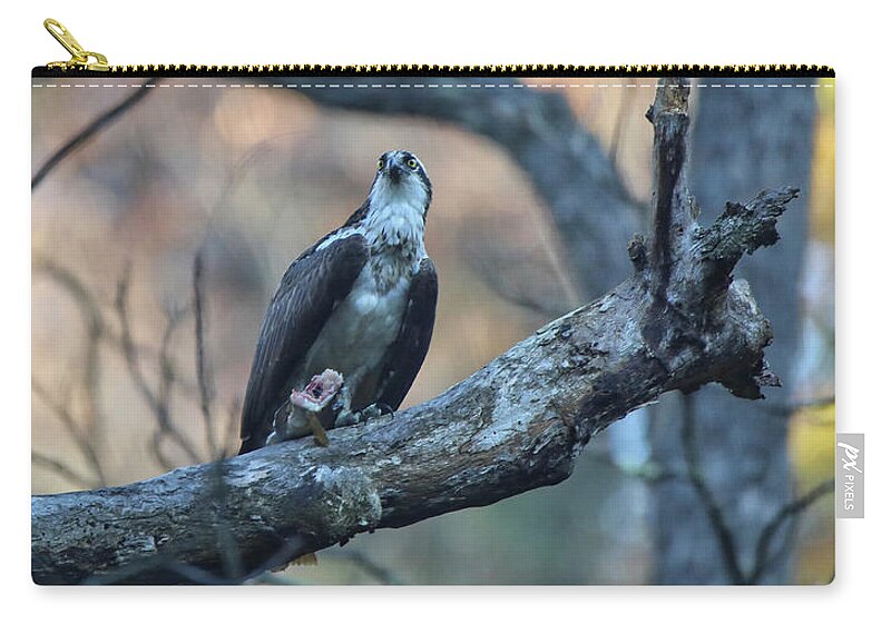 Osprey Zip Pouch featuring the photograph First Catch Of The Day by Scott Burd