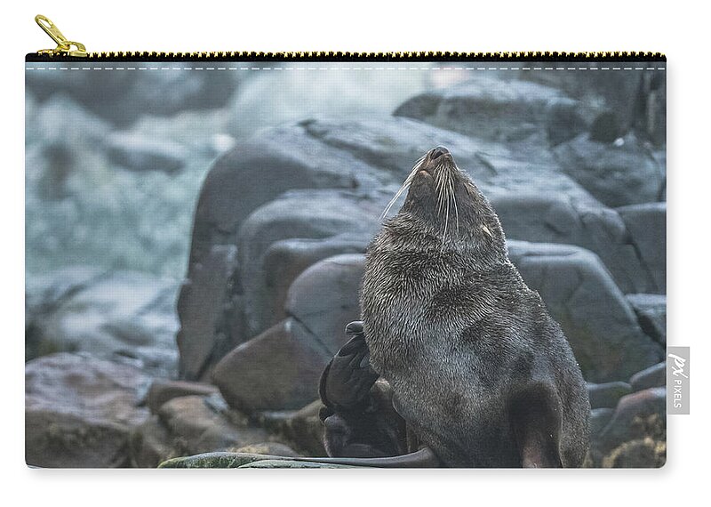 03feb20 Zip Pouch featuring the photograph First Itch of the Day in Antarctica by Jeff at JSJ Photography