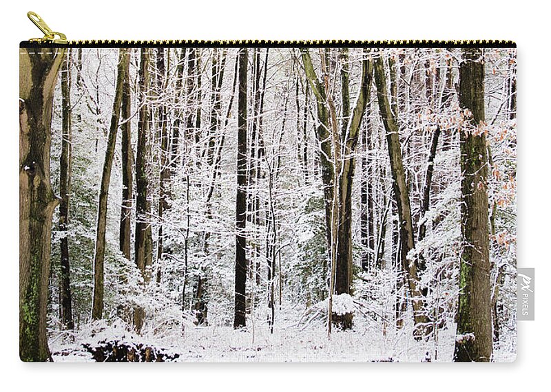 Winter Carry-all Pouch featuring the photograph First Snow by Stacy Abbott