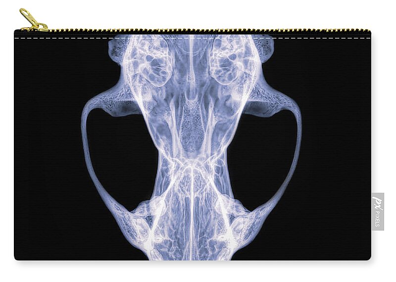 Mammal Zip Pouch featuring the photograph Fisher -2 by Rob Graham