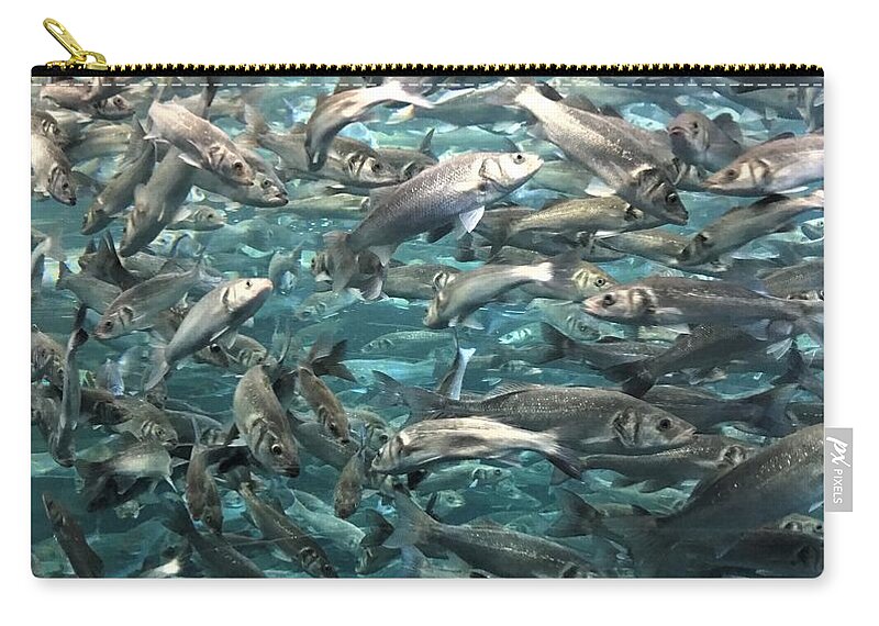 Fish Zip Pouch featuring the photograph Fishy Crowd by Christine Rivers