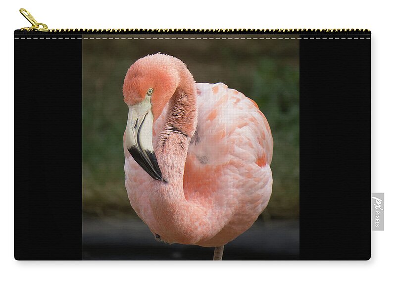 Beach Zip Pouch featuring the photograph Flamingo 2 by Christy Garavetto