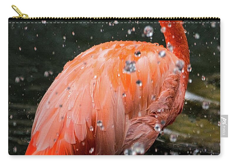Bird Zip Pouch featuring the photograph Flamingo In Water by Rene Vasquez