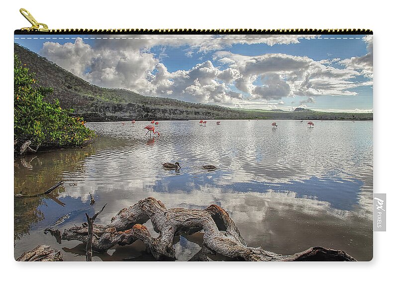 Ecuador Carry-all Pouch featuring the photograph Flamingo lagoon - Floreana island by Henri Leduc