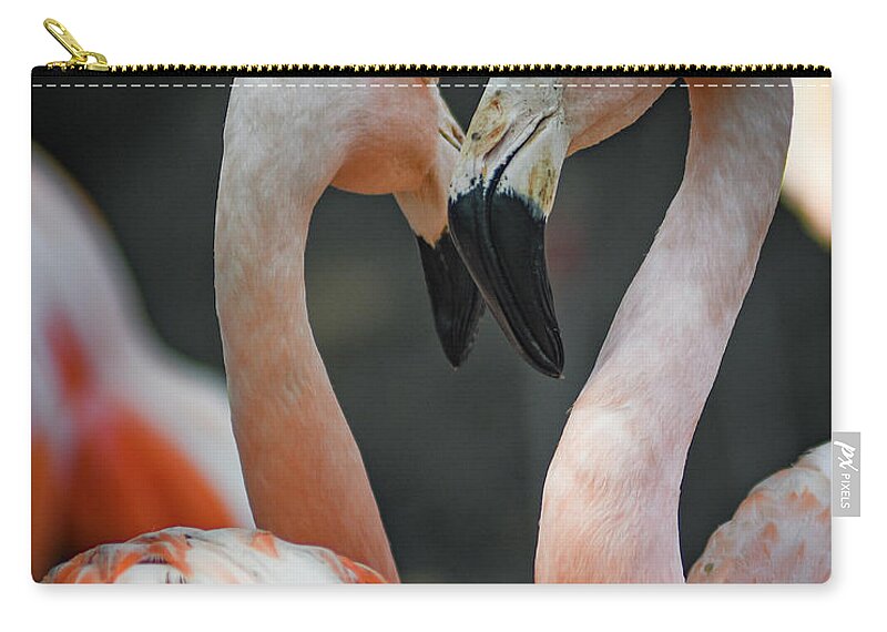 Flamingo Love Zip Pouch featuring the photograph Flamingo Love by Michelle Wittensoldner