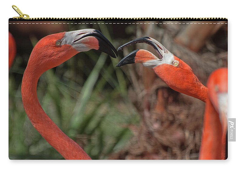 Flamingo Zip Pouch featuring the photograph Flamingo Quarrel by Carolyn Hutchins