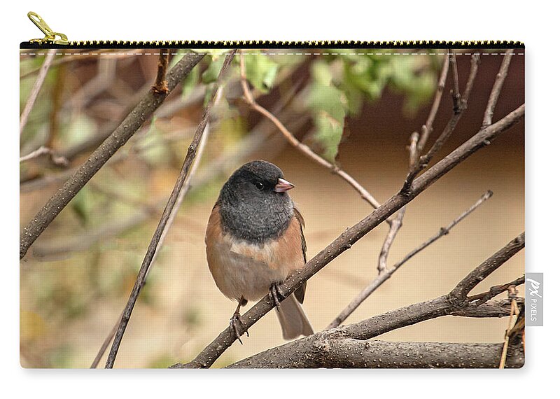 Bird Carry-all Pouch featuring the photograph Flashy Little Sparrow by Laura Putman
