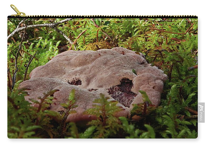Albatrellus Confluens Zip Pouch featuring the photograph Flat and low. Fused polypore by Jouko Lehto
